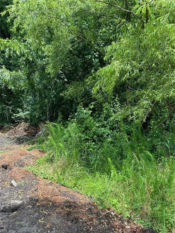 .18AC Clifton Street, Suffolk VA 23435