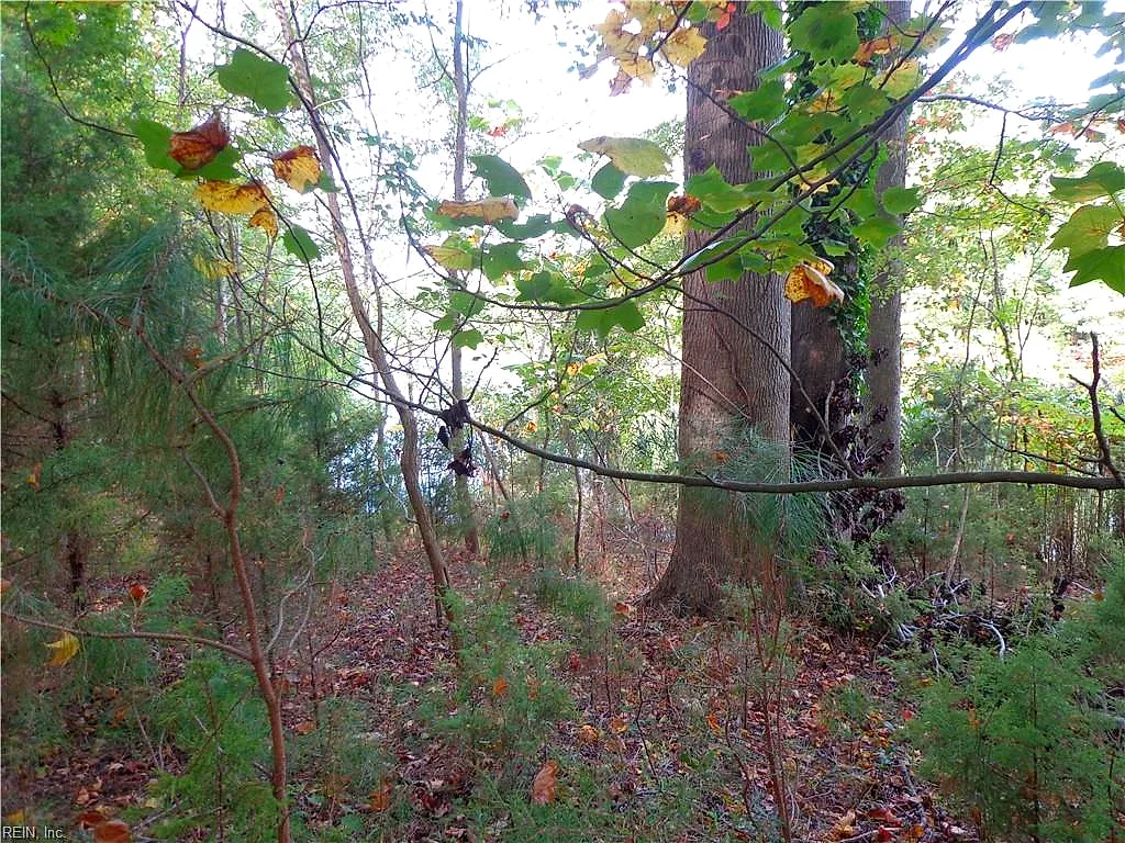 2.81AC Morgarts Beach Road, Smithfield VA 23430