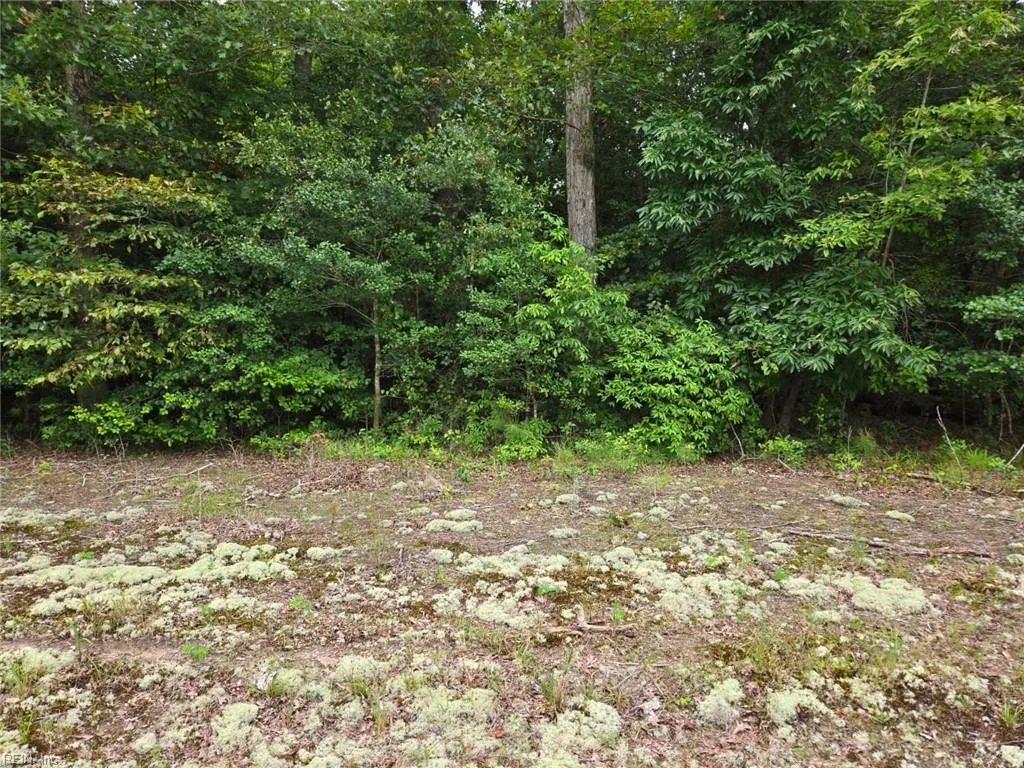 25.5ac Woodland Dr, Windsor — photo