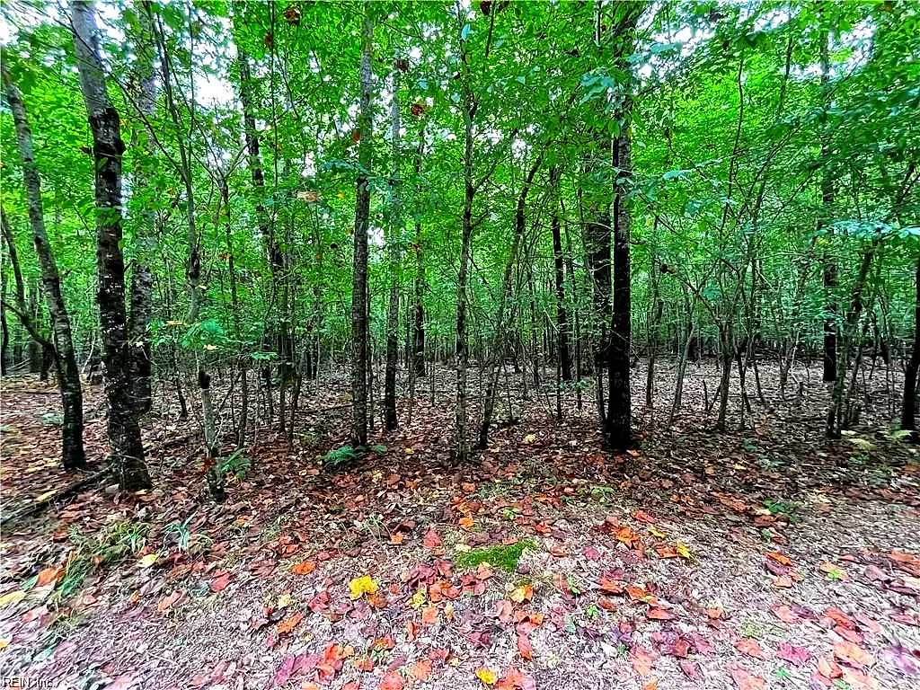 10+Ac Beech Creek (10.88ac) Rd, Gloucester — photo