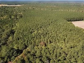 15 Acres Cypress Chapel RD, SUFFOLK VA 23434