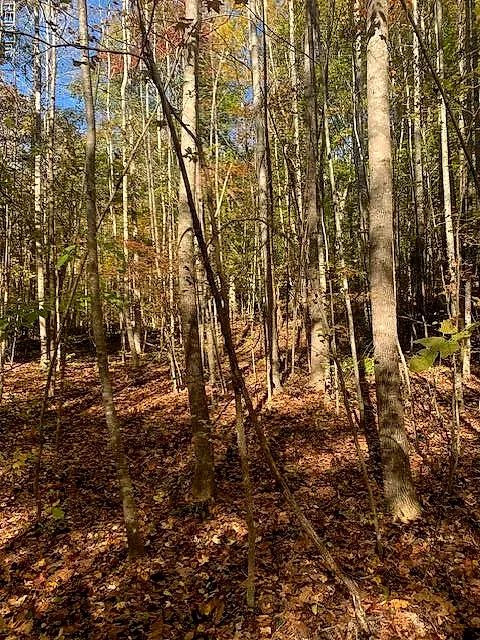17+Ac T.C. Walker Rd (Off Of). Rt. 629 Ln, Gloucester — photo