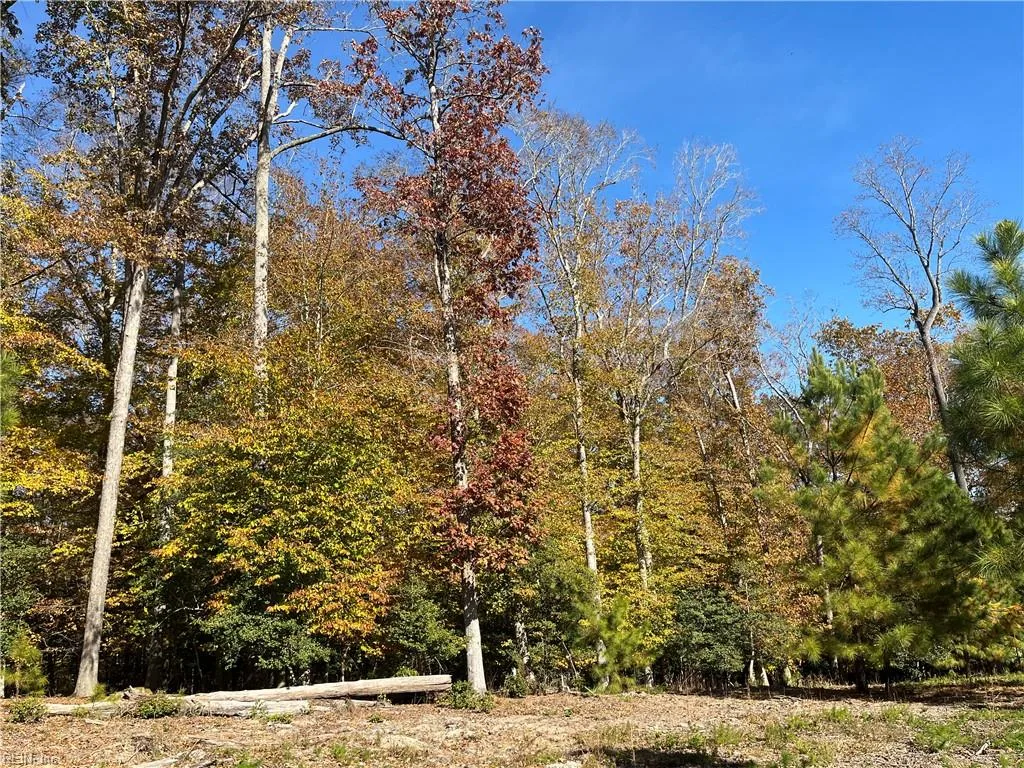 2425 Jolly Pond Rd, Williamsburg — photo