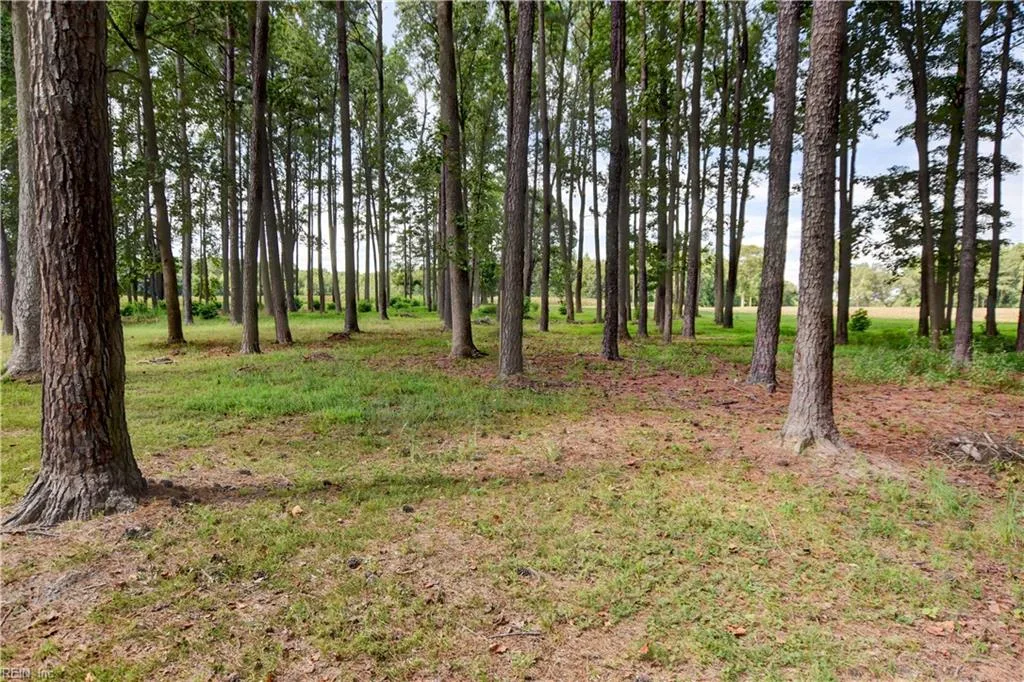 1.75ac Cobham Wharf Rd, Surry — photo