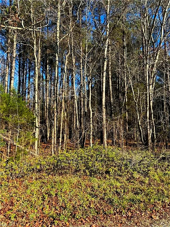 .95ac Cowpen Neck Rd, Gloucester — photo