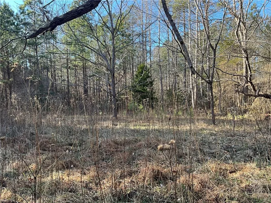 17.4ac Salem Wood Rd, Gloucester — photo
