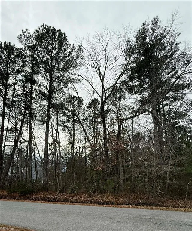 1ac Holy Neck Rd, Suffolk — photo