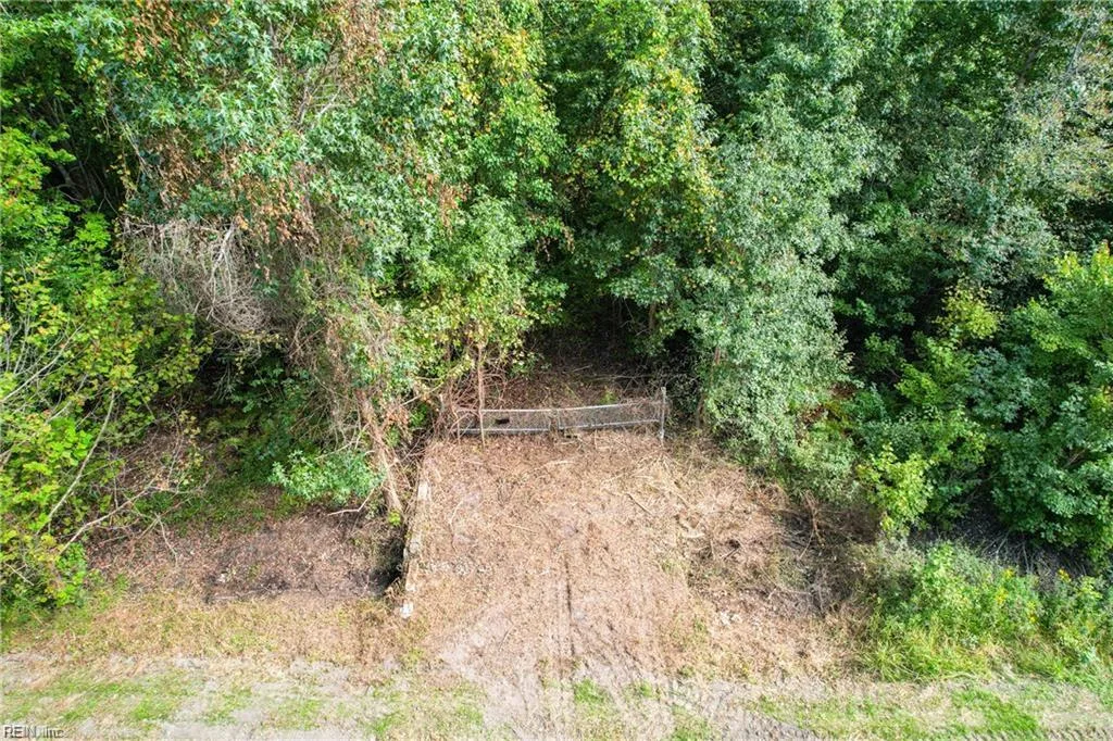 2.5 Ac Dismal Swamp Canal TRL, CHESAPEAKE VA 23322