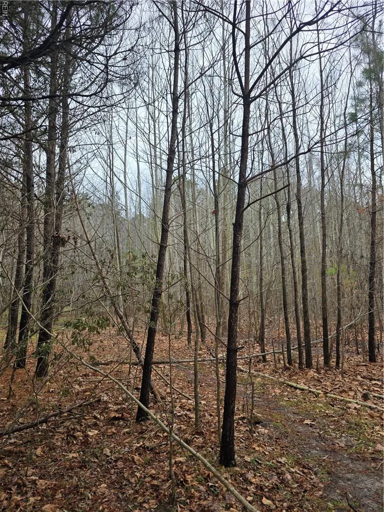 4200 John (304362300) ST, SUFFOLK VA 23435