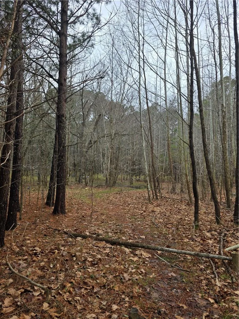 4200 John (301728600) ST, SUFFOLK VA 23435