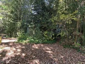 4558 Shoshone CT, NORFOLK VA 23513