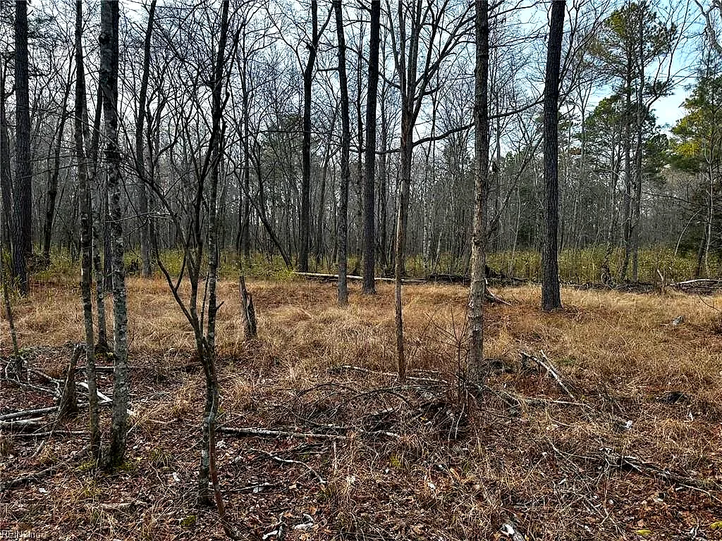 1.58ac General Thomas Hwy, Newsoms — photo