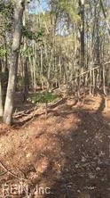 18+Ac Pepper Creek Rd, Susan — photo