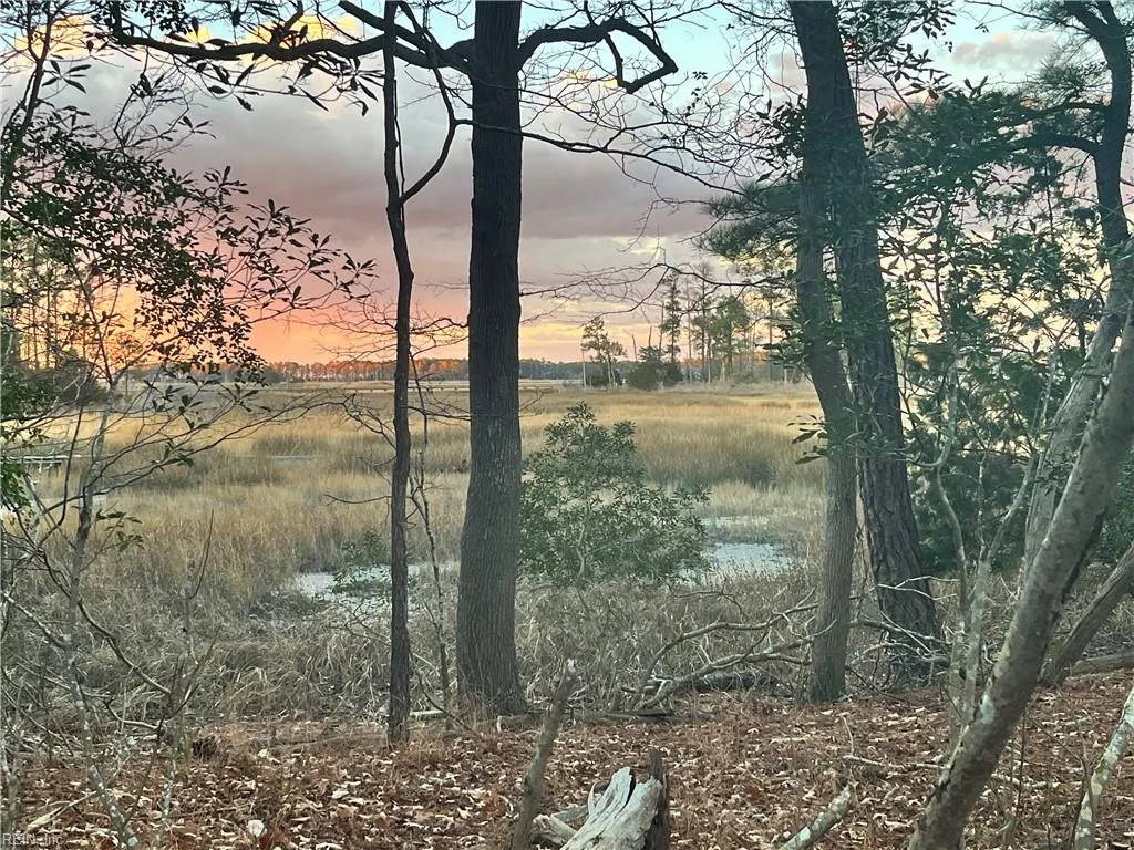 9.5 AC Bay Farm RD, CARROLLTON VA 23314