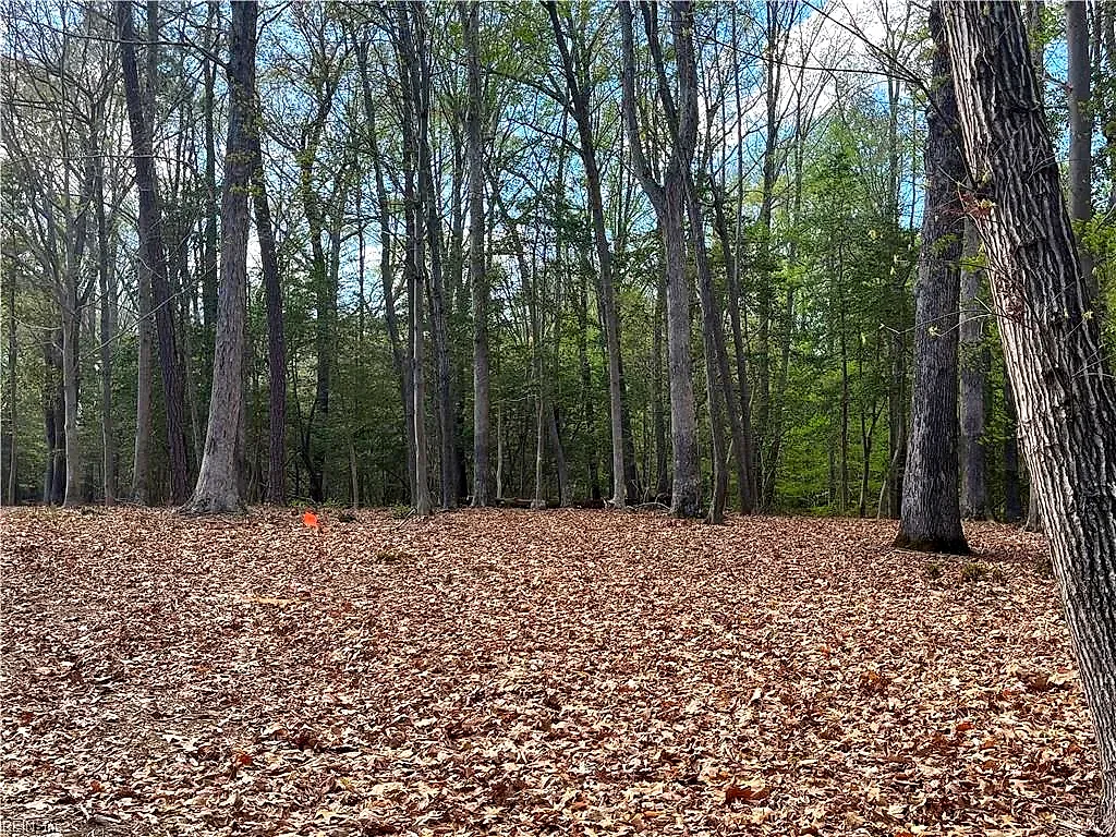 Lot 2 Eagle Lane, Surry — photo