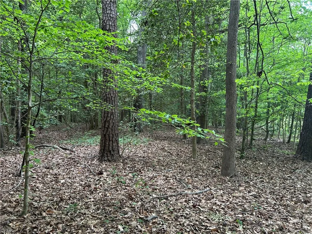6.57ac Lees Landing Ln, Saluda — photo
