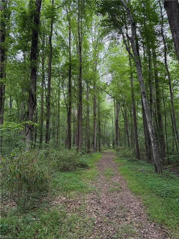 Lot 35 Trinkle ST, CHESAPEAKE VA 23322