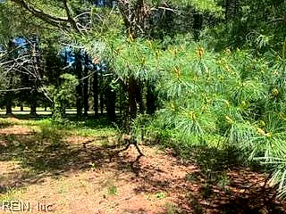 1.1+Ac Laurel Haven Dr, Wicomico — photo