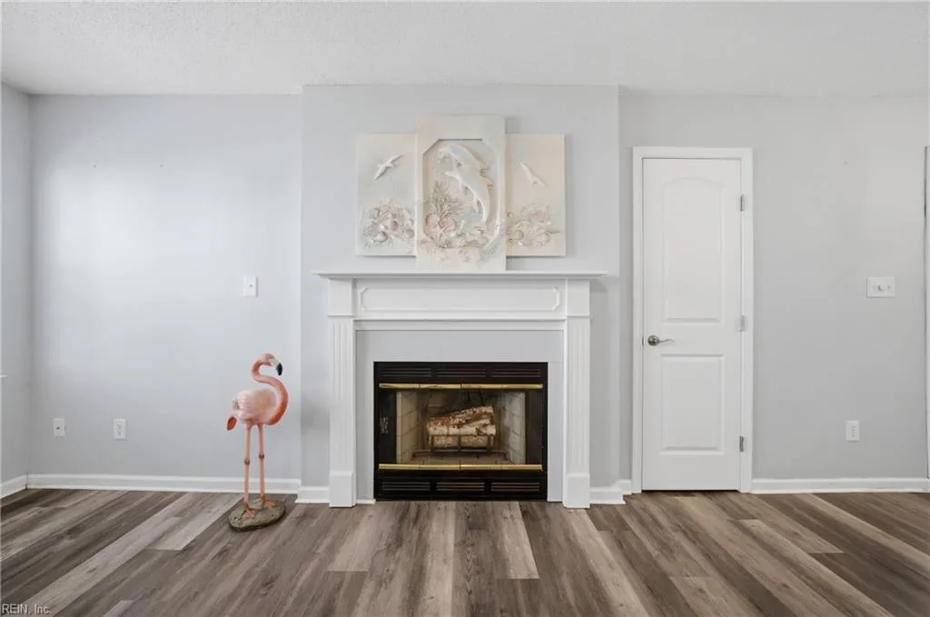 700 Rapidan River Ct #F, Chesapeake — photo