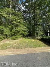 120 Ballycastle NONE, WILLIAMSBURG VA 23188