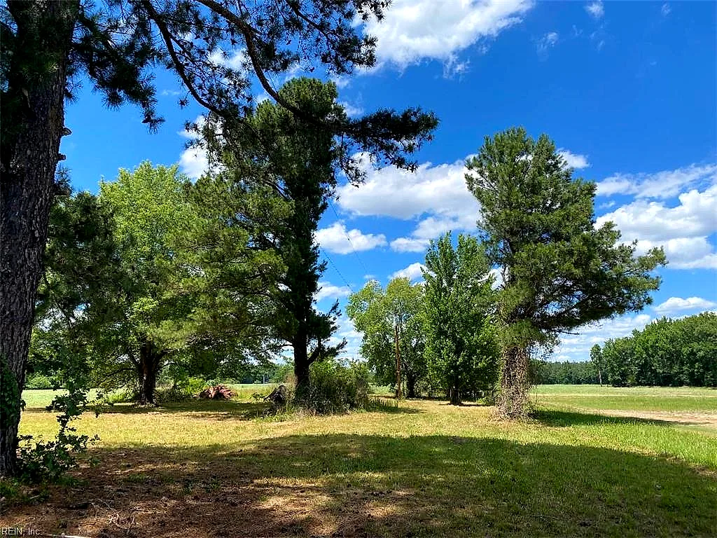 11443 Whitehead Rd, Branchville — photo