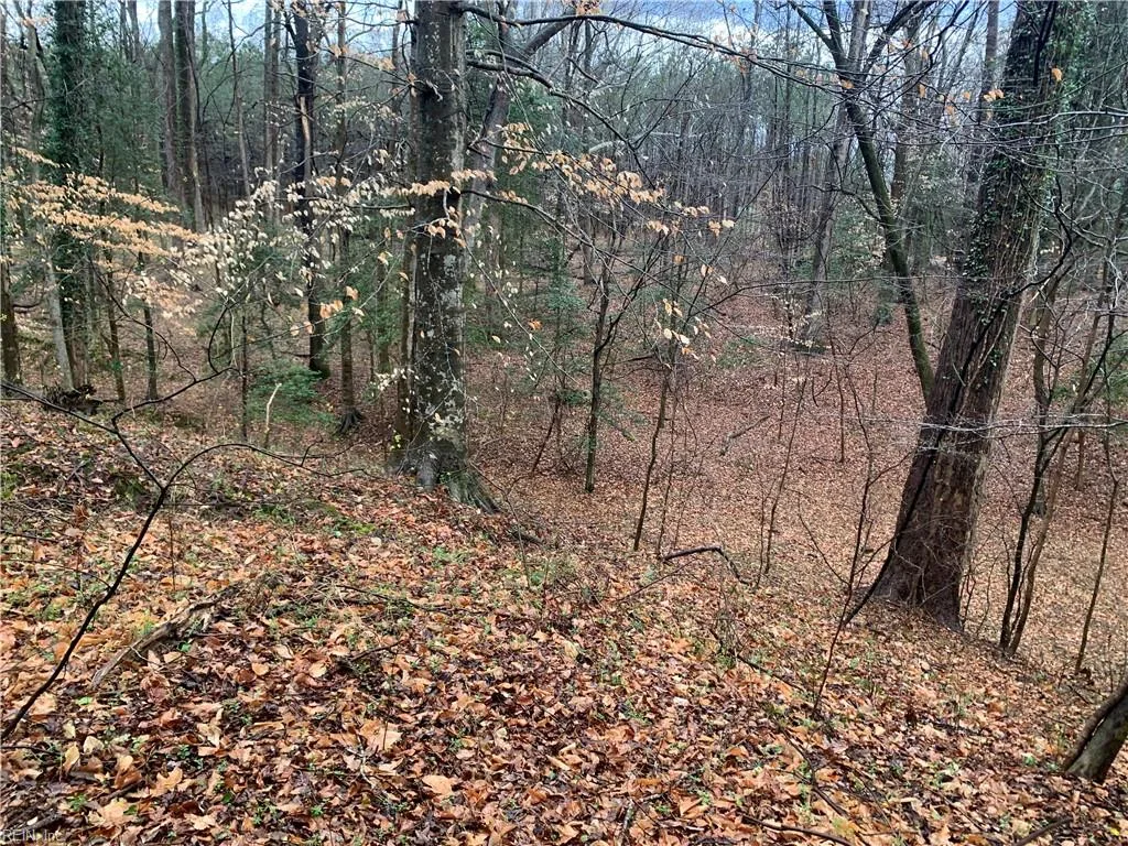Lot 7 Mt Holly Creek Ln, Smithfield — photo