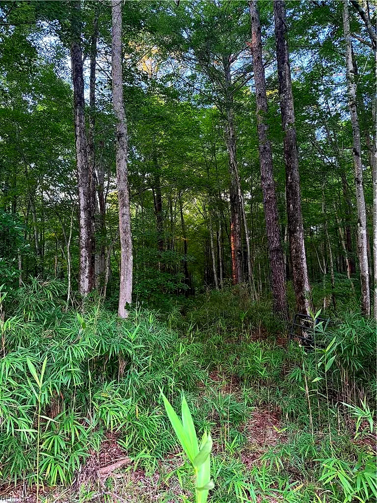 Lot 8 Tuck ST, CHESAPEAKE VA 23322