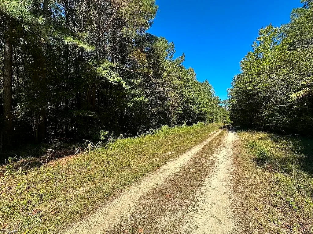 45.5 Acres Cypress Chapel Rd, Suffolk — photo