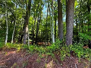 00 White Marsh Rd, Elberon — photo