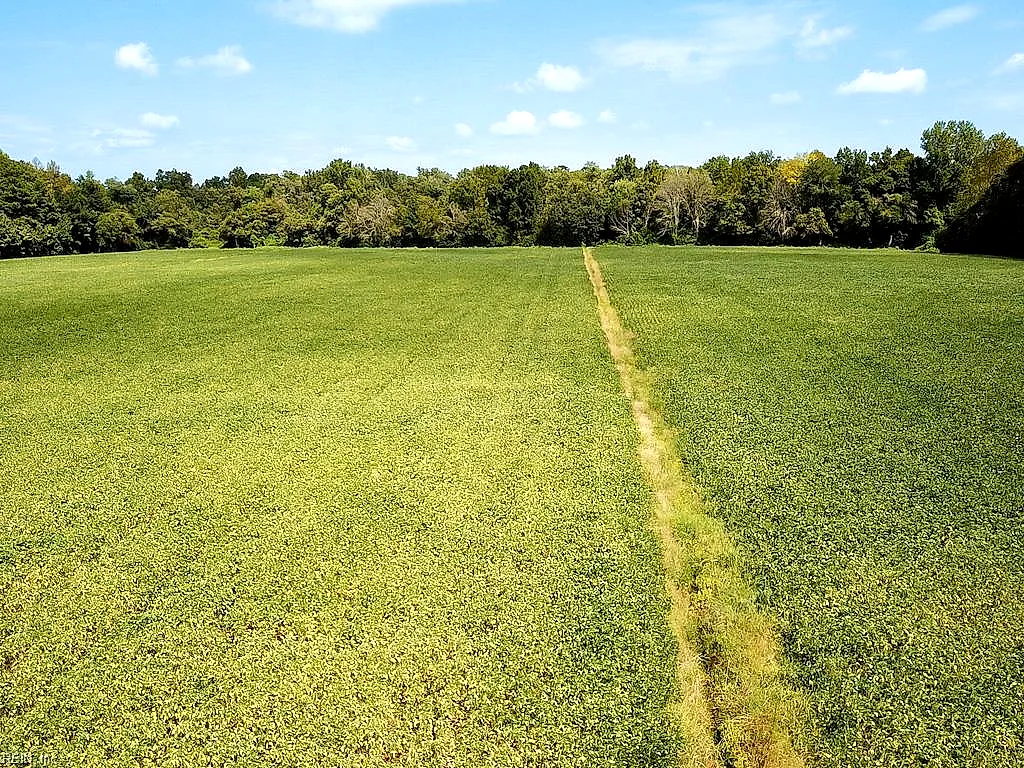 42.4 Acres Benefit Rd, Chesapeake — photo