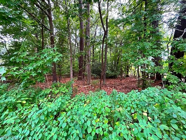 0 Maple Dr, Chesapeake — photo