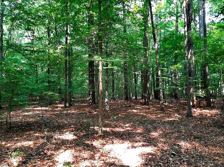 6628 Blackwater RD, VIRGINIA BEACH VA 23457