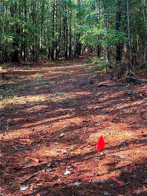Parcel Dripping Springs Rd, Dendron — photo