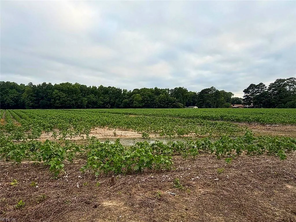 Lot 19 Longstreet Ln, Suffolk — photo